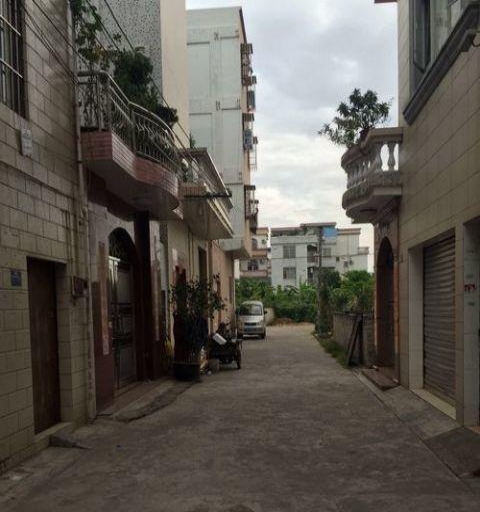 容桂最新单家独户出售，小巷中的惊喜宝藏房源
