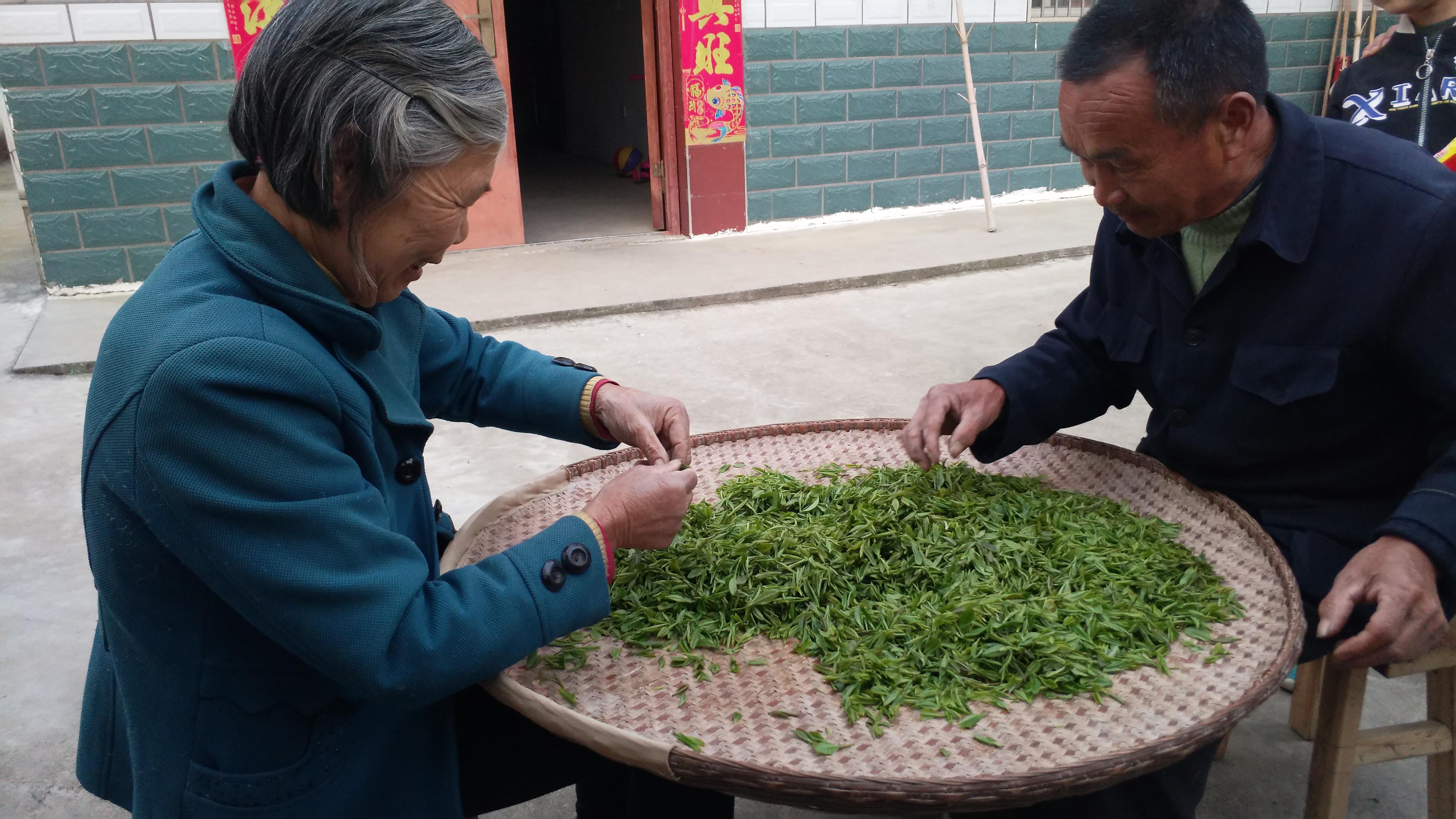 最新直播源获取指南，开启自然美景的心灵之旅