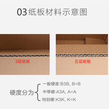 东莞纸箱厂招聘信息全览，职位空缺与申请指南