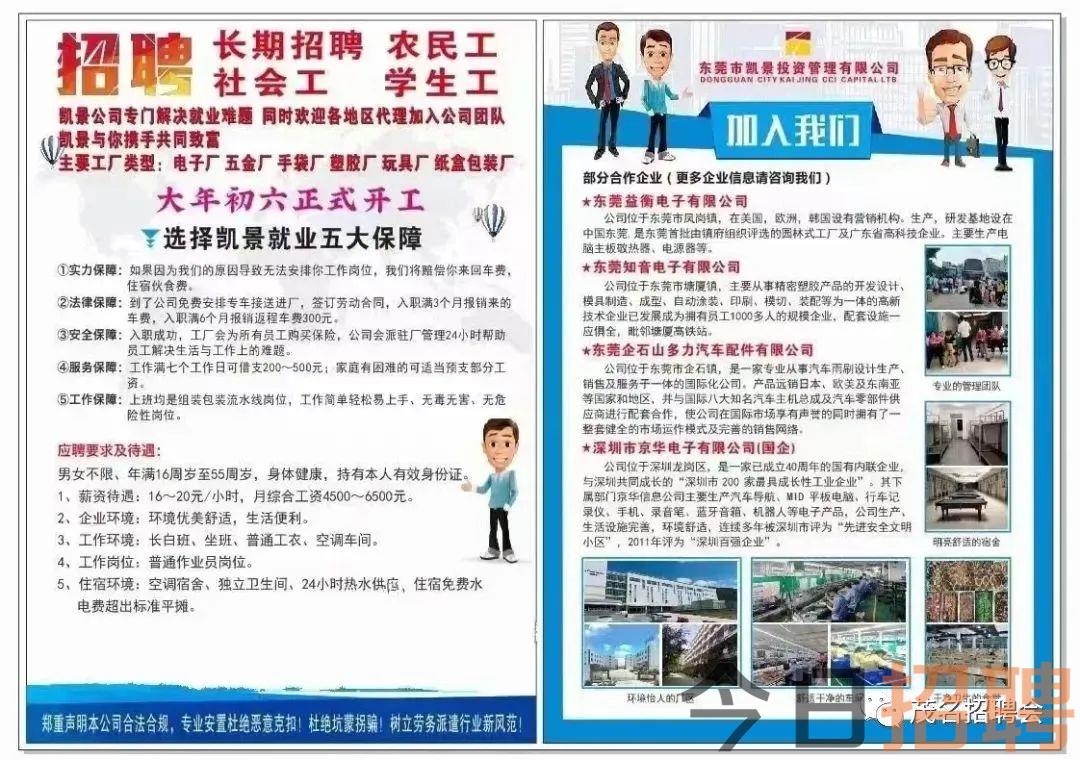 大浪五沙最新职位招聘，科技新纪元的引领者