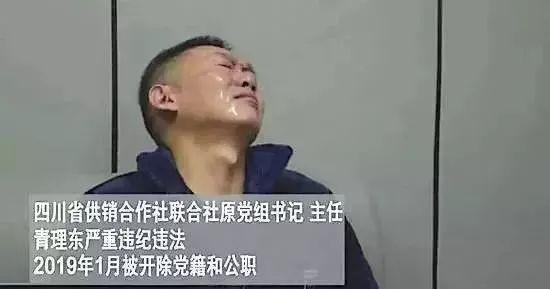 郑州上街新闻速递最新消息汇总