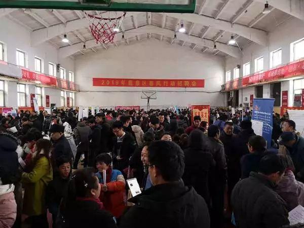 石家庄鹿泉最新科技职位招聘，引领未来职场新纪元