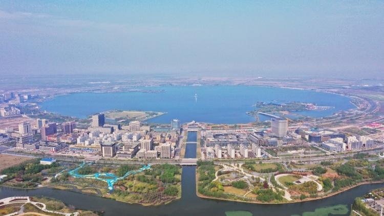 滨海城最新动态更新