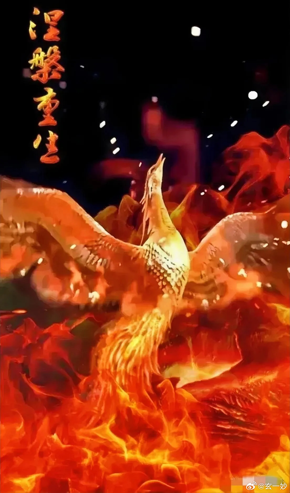 神鹰天骄，凤凰涅槃新篇章