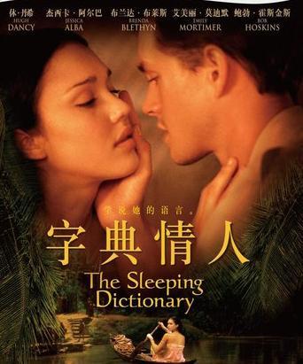 字典情人电影，情感与知识的交织之旅