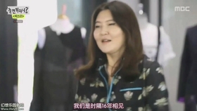 朴多芬最新，时尚潮流与科技创新的完美交融