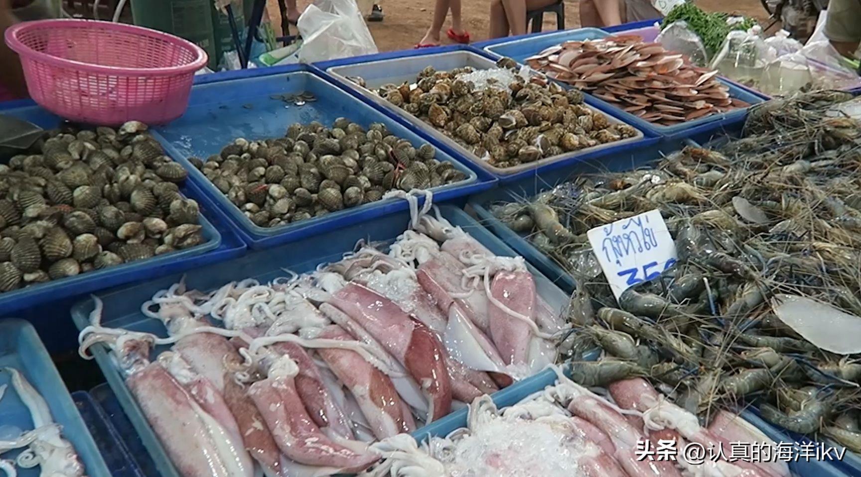 最新水产品市场趋势及个人观点解析