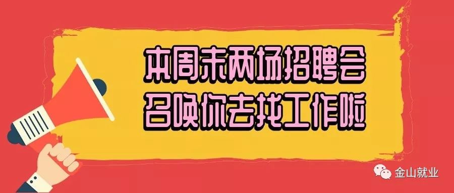 卡农最新招聘动向，观点阐述与分析